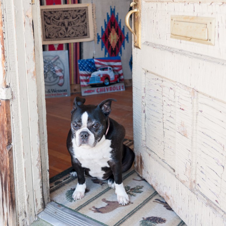 Montana Editorial Photographer Roundup04