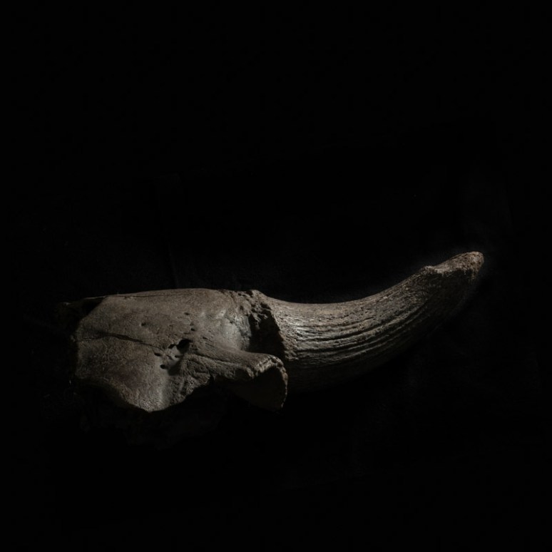 Montana Photographer Fine Art20150216105129-Edit