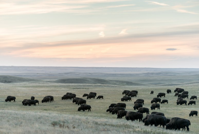 20150922190130-2-edit